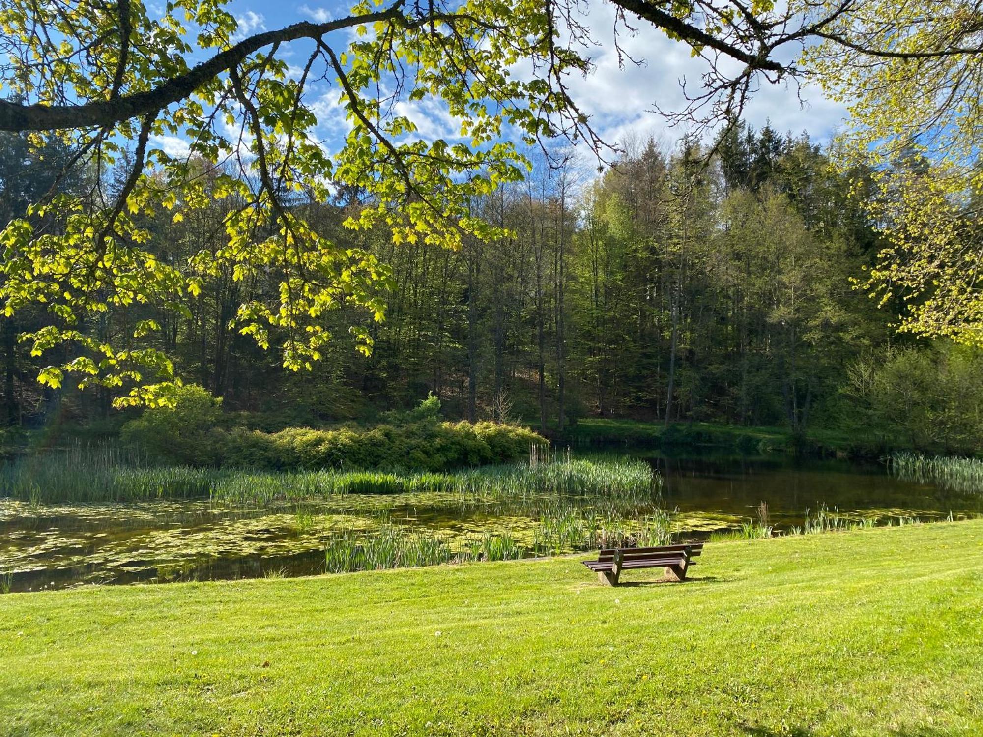 Pension-Ferienwohnung Liesbachtal Direkt Am Waldrand Bayerische Rhoen 쇼나우엔더브렌드 외부 사진