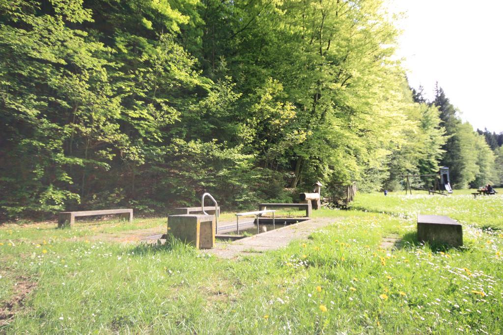 Pension-Ferienwohnung Liesbachtal Direkt Am Waldrand Bayerische Rhoen 쇼나우엔더브렌드 외부 사진