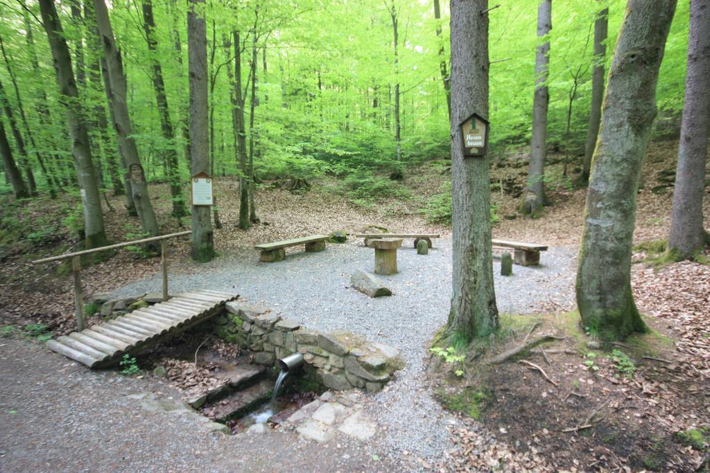 Pension-Ferienwohnung Liesbachtal Direkt Am Waldrand Bayerische Rhoen 쇼나우엔더브렌드 외부 사진